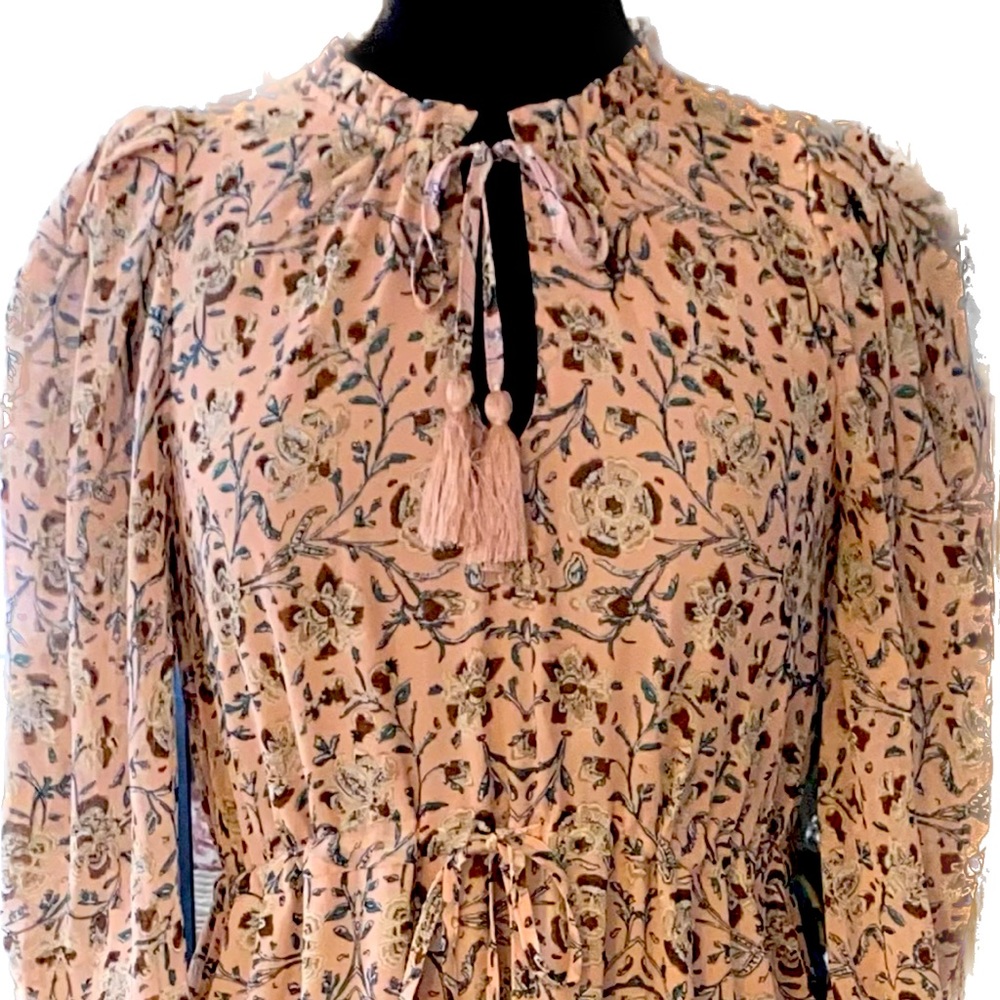 NWT Sundance Catalog Allison NY Pink Chiffon Orla Meadow Maxi Dress Sz XS $189